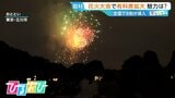 花火大会『有料席』全国で8割が導入「場所取り不要・トイレがスムーズ」メリットと有料化の背景は【ひるおび】|TBS NEWS DIG