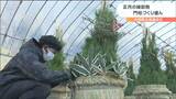 「穏やかに無事に新しい年が来てくれたら」造園会社で“門松づくり”盛ん　宮城・大和町　|　宮城のニュース│tbc NEWS│tbc東北放送