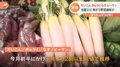 【速報】だいこん・きゅうり・なす・ピーマンは今月前半にかけて平年の1.2倍以上の価格で推移見込み…先月下旬の気温が全国的に低く野菜の生育に遅れ| TBS CROSS DIG with Bloomberg