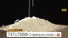 今年は「コメの収穫量」が大幅増加予想　去年より70万トン弱の増加・2017年以降で最高となる見込み　農水省| TBS CROSS DIG with Bloomberg