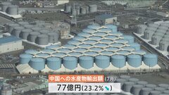 中国向け水産物の7月の輸出額 去年比23%減少　全面的な放射性物質の検査が影響| TBS CROSS DIG with Bloomberg