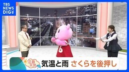【2月28日 関東の天気】気温と雨 さくらを後押し|TBS NEWS DIG