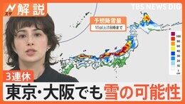 今季最強寒波 金曜にかけ警報級大雪か、3連休 東京・大阪で雪の可能性【Nスタ解説】|TBS NEWS DIG