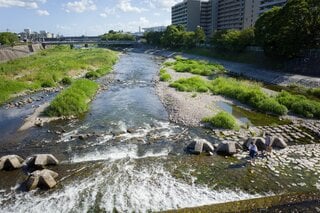 「うちは浸水しないから大丈夫」は本当か？ 見えない水害リスクと住民の役割| TBS CROSS DIG with Bloomberg