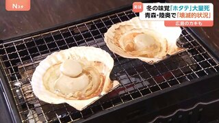 「壊滅的状況」冬の味覚“ホタテ”が大量死　背景に海水温の上昇か？「へい死率」が9割　飲食店にも影響| TBS CROSS DIG with Bloomberg