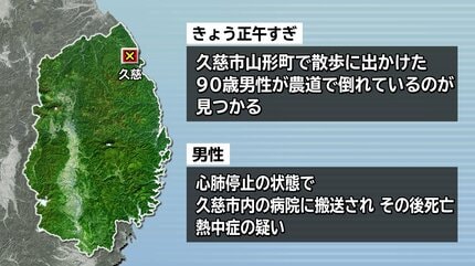ヒート・ストローク 熱射病のカルテ: 事件か事故か災害か 石川県令和6年能登豪雨災害義援金】牛玄亭アプリによるポイント寄付ご