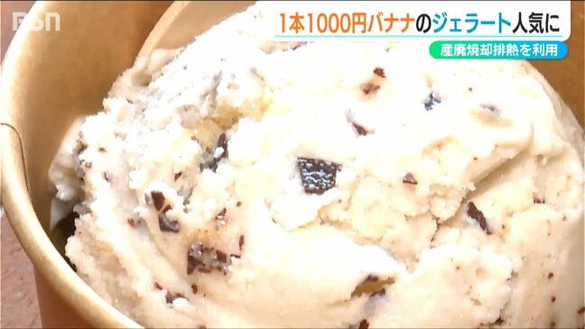 「最近すごくインスタで流れてて」1本1000円のバナナを丸ごと使った『越後バナーナのジェラート』産廃焼却熱で栽培　新潟・柏崎市|TBS NEWS DIG