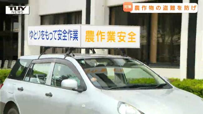 農作物の盗難を防ぐには「なんでかな?」が大事 繰り返される盗難被害を防ぐための対策は(山形・村山市)|TBS NEWS DIG