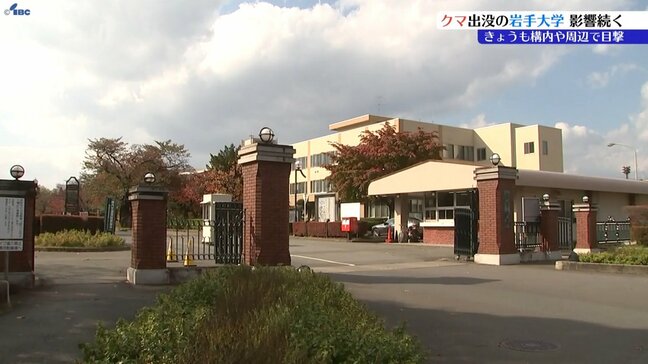 岩手大学の構内や周辺で29日もクマ目撃　終日休講に　30日は講義再開の予定　盛岡市|TBS NEWS DIG