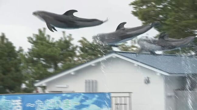 3連休最終日 のとじま水族館にぎわう|TBS NEWS DIG