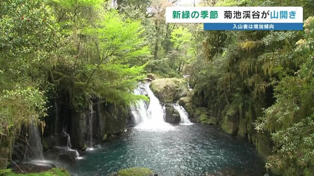 赤ちゃんもニッコリ！ 菊池渓谷が山開き 昨シーズンの来場者は5年前の3倍に　外国人観光客も絶賛する新緑の魅力|TBS NEWS DIG