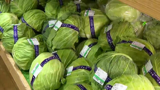 「キャベツ半値」新鮮でお得な地元野菜求めて　南九州市の道の駅1日2000人のにぎわい　鹿児島|TBS NEWS DIG
