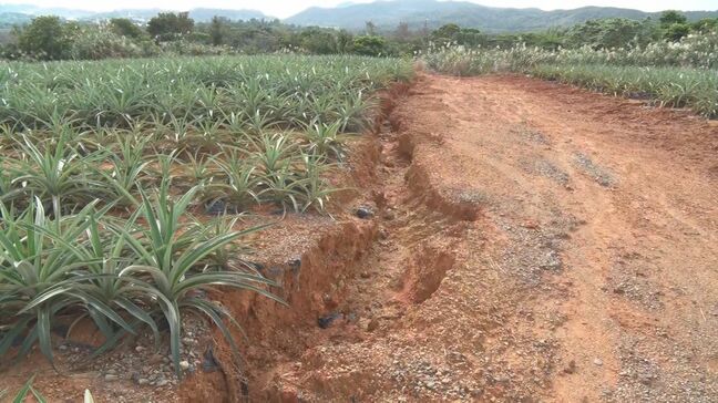 去年11月の本島北部大雨 大宜味村・国頭村の被害が「局地激甚災害」に指定決まる 復旧事業への国庫補助引き上げ|TBS NEWS DIG