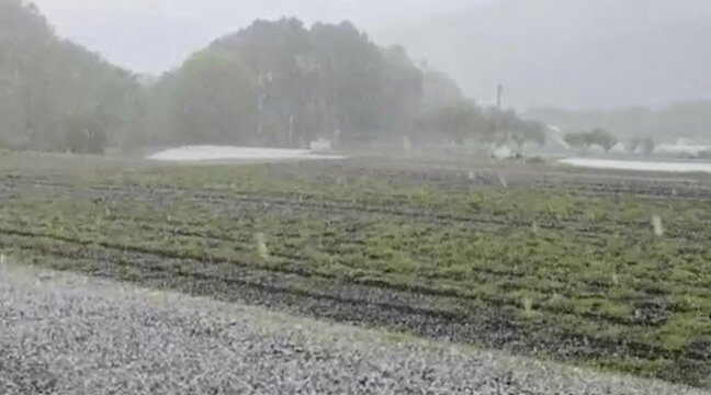 「ひょう害だけは勘弁してほしい…」【局地的に激しい雨】農家が心配の日々…「5ミリから1センチくらいの粒が降ってきた…」長野・諏訪地域の一部で収穫直前のレタスが傷む被害も|TBS NEWS DIG