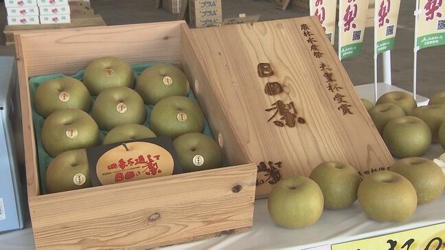 日田梨「幸水」初競り　1キロ平均656円で取り引き　大分|TBS NEWS DIG