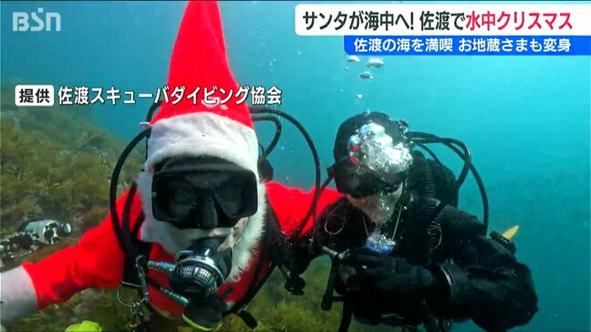 “サンタ”コスやトナカイ姿で！アジやスズメダイと共に『水中クリスマス』新潟・佐渡市|TBS NEWS DIG