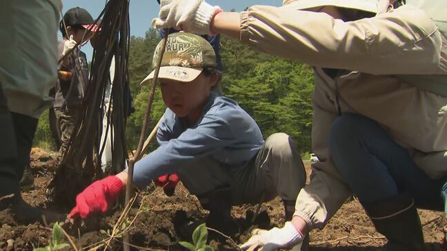 胃腸薬の原料となるキハダなどの植樹祭・長野県諏訪市|TBS NEWS DIG