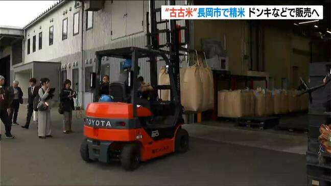 『古古米』を新潟で精米 週明けに都内の“ドンキ”などでアプリ会員を対象に5kg2000円前後で販売予定|TBS NEWS DIG