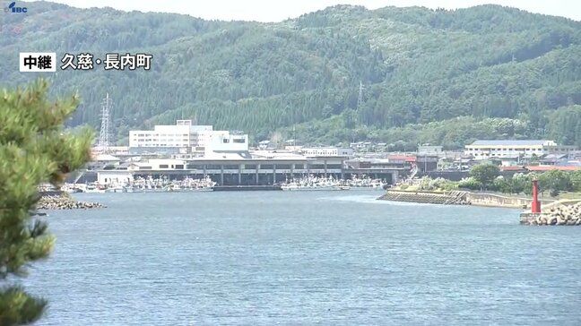 30日、1メートル30センチの津波を観測した岩手県久慈市　一夜明けて赤浜展望台から中継|TBS NEWS DIG