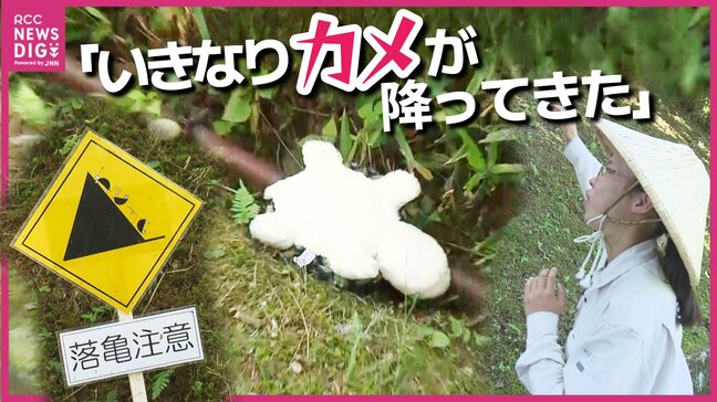 「いきなりカメが降ってきた」って本当? 落雷ならぬ落“亀”に注意! 植物園にユニークな看板登場 カメが池を離れるワケを職員に聞いた 広島|TBS NEWS DIG