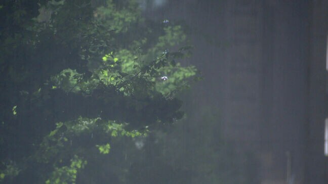 福岡・佐賀　６日昼前にかけて大雨のおそれ　土砂災害などに警戒を|TBS NEWS DIG
