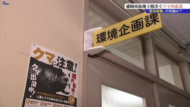 官庁街でクマの出没続くも緊急銃猟実施せず　盛岡市担当者にその理由を尋ねる|TBS NEWS DIG