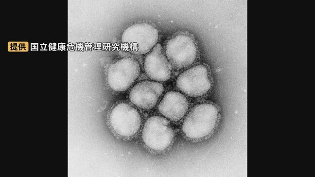 訪日外国人から感染の可能性も…インフルエンザ流行入り 鳥取県では昨シーズンより約1か月も早い|TBS NEWS DIG