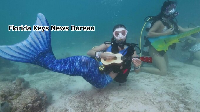 人魚に扮して海中で音楽フェスティバル　サンゴの保全訴え|TBS NEWS DIG