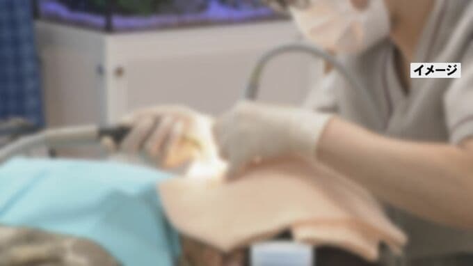 負債総額は約3600万円で“後継者不在” 歯科医院が事業継続を断念…金沢市の「津田歯科医院」が破産手続き開始　|　石川県のニュース｜MRO北陸放送
