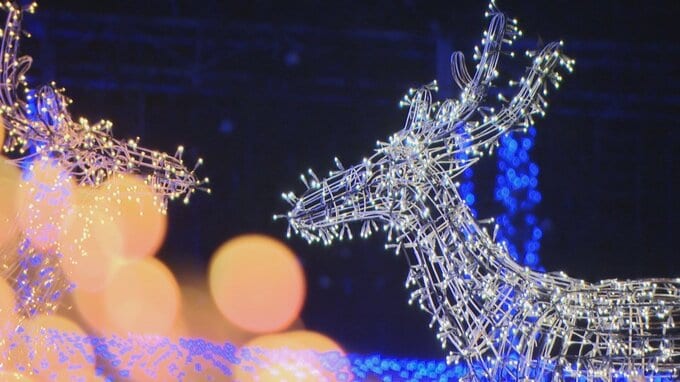 80万球のLEDがスイスの森の冬景色を幻想的に描く　ハイジの村でイルミネーション点灯　山梨・北杜市|TBS NEWS DIG