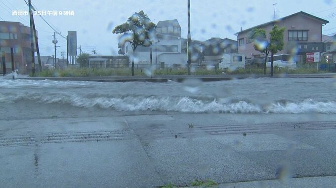 【山形】大雨の影響で農作物にも被害　水稲・にら・枝豆・ねぎなど畑が被害　|　山形のニュース│TUYテレビユー山形