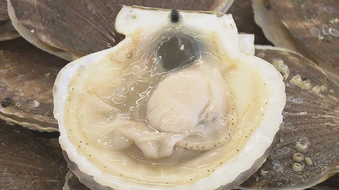 中国禁輸措置で行き場失う「ホタテ」 海を越え「ほとんど輸出ない」タイへ… 今後の販路開拓に期待|TBS NEWS DIG