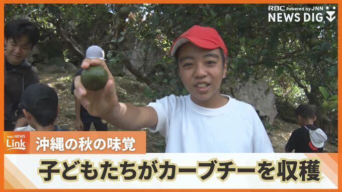 沖縄の秋の味覚『カーブチー』の収穫体験　子どもたちが収穫しながら食べ比べ|TBS NEWS DIG