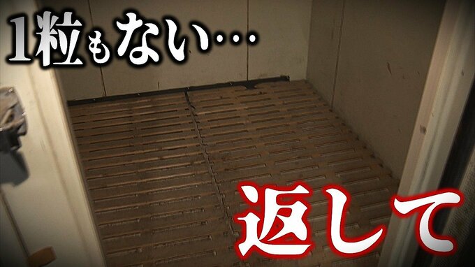 「1粒もない…。返して」盗難被害農家の悲痛な叫び 盗まれたなかには『特A』のブランド米も…「一生がかかっている。本当に許せない」 約1.8トン盗んだ“コメ泥棒”か 会社員の男(37)を逮捕|TBS NEWS DIG