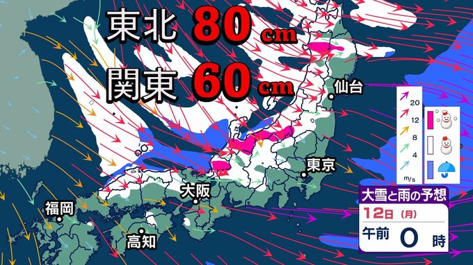 【大雪情報】12日も大雪注意　東北地方で80センチ、関東地方で60センチ、中国地方で30センチの大雪の恐れ　雪の降り方はどこで・いつ強まるか？　|　高知のニュース・天気｜KUTV NEWS | KUTVテレビ高知