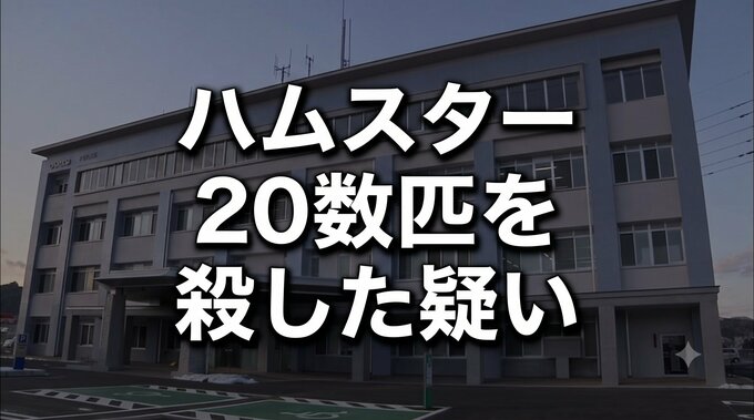【追記あり】宿泊施設の室内でハムスター20数匹殺した疑い　さらにその様子をスマホ撮影　宮古水産高校の職員の男と住居不定の女(19)を逮捕　岩手|TBS NEWS DIG
