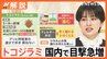 電車内でも“トコジラミ”目撃情報 就寝中に「吸血」･･･被害から身を守るには？弱点は「光」と「熱」【Nスタ解説】|TBS NEWS DIG