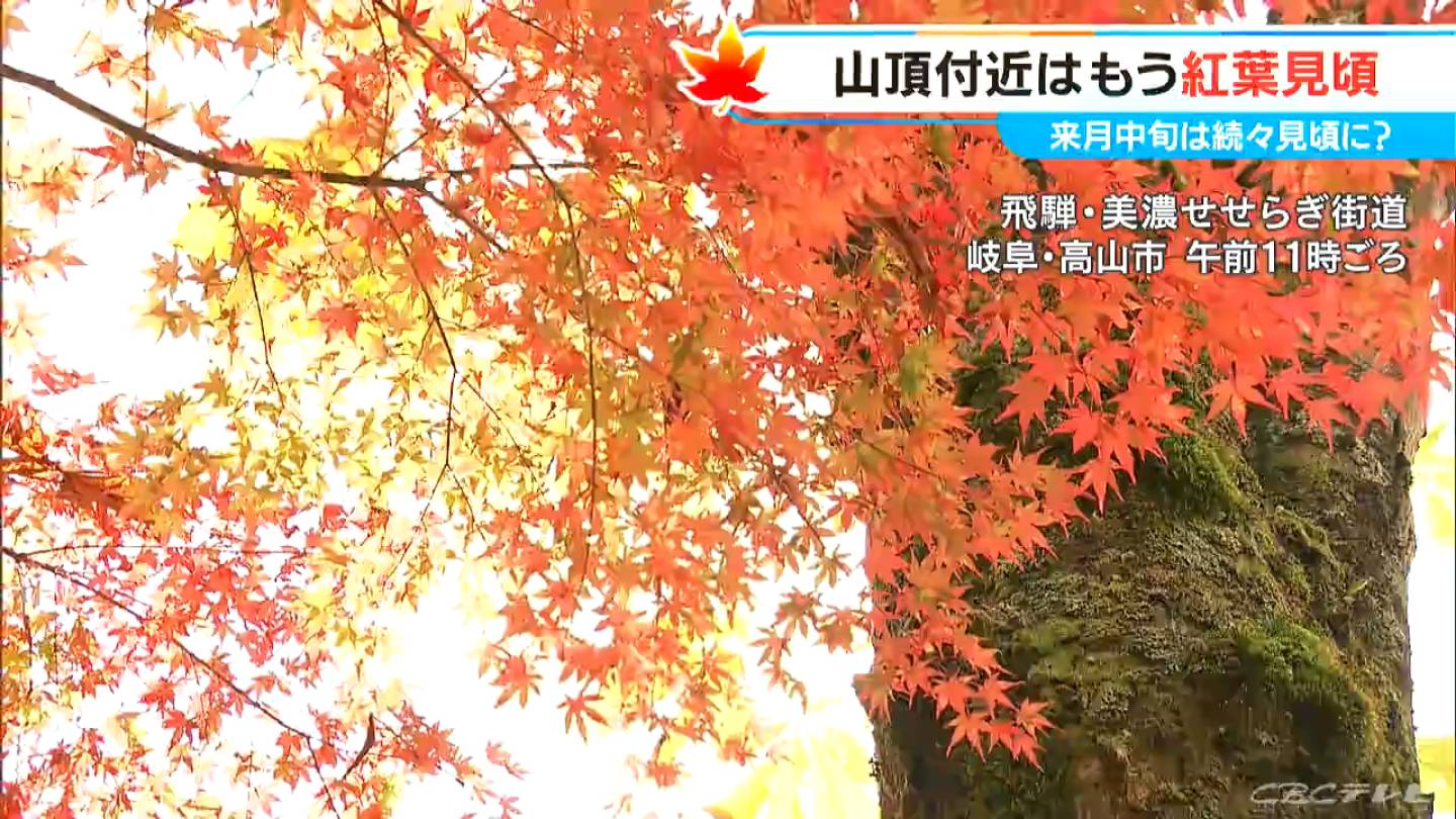 3連休に楽しめる東海3県の「紅葉」スポット 飛騨・美濃せせらぎ街道は