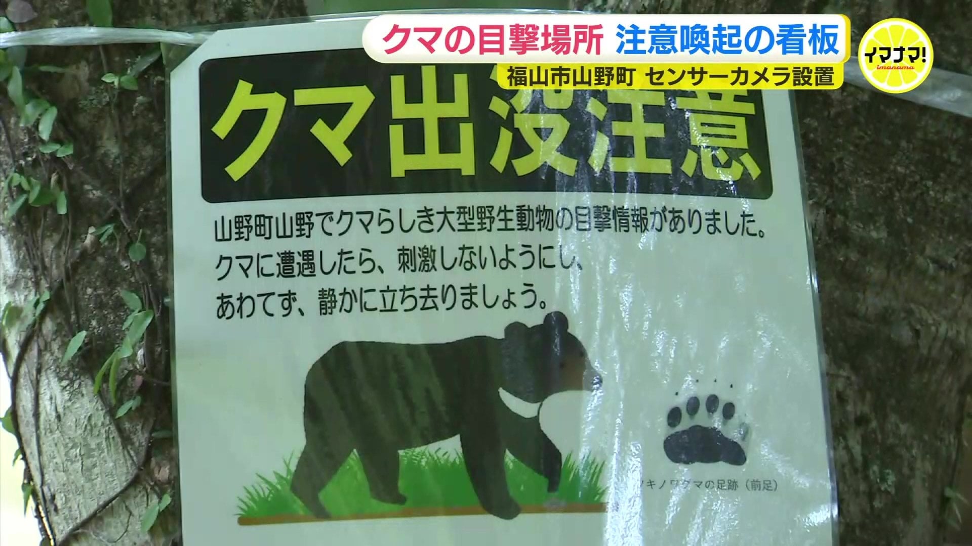 クマ目撃場所に注意喚起の看板 チラシ配布やセンサー設置も 広島・福山