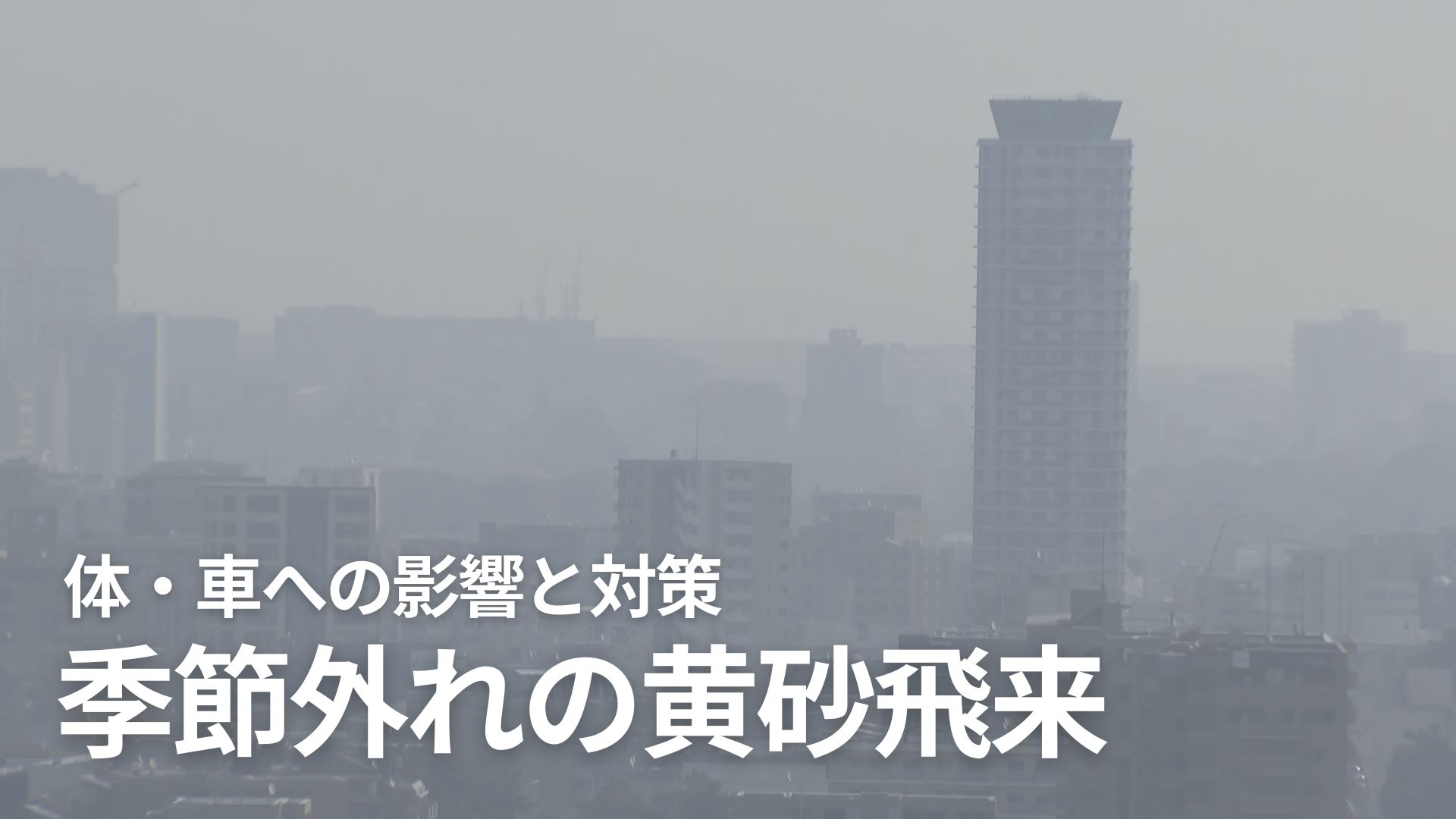 福岡 市 黄砂