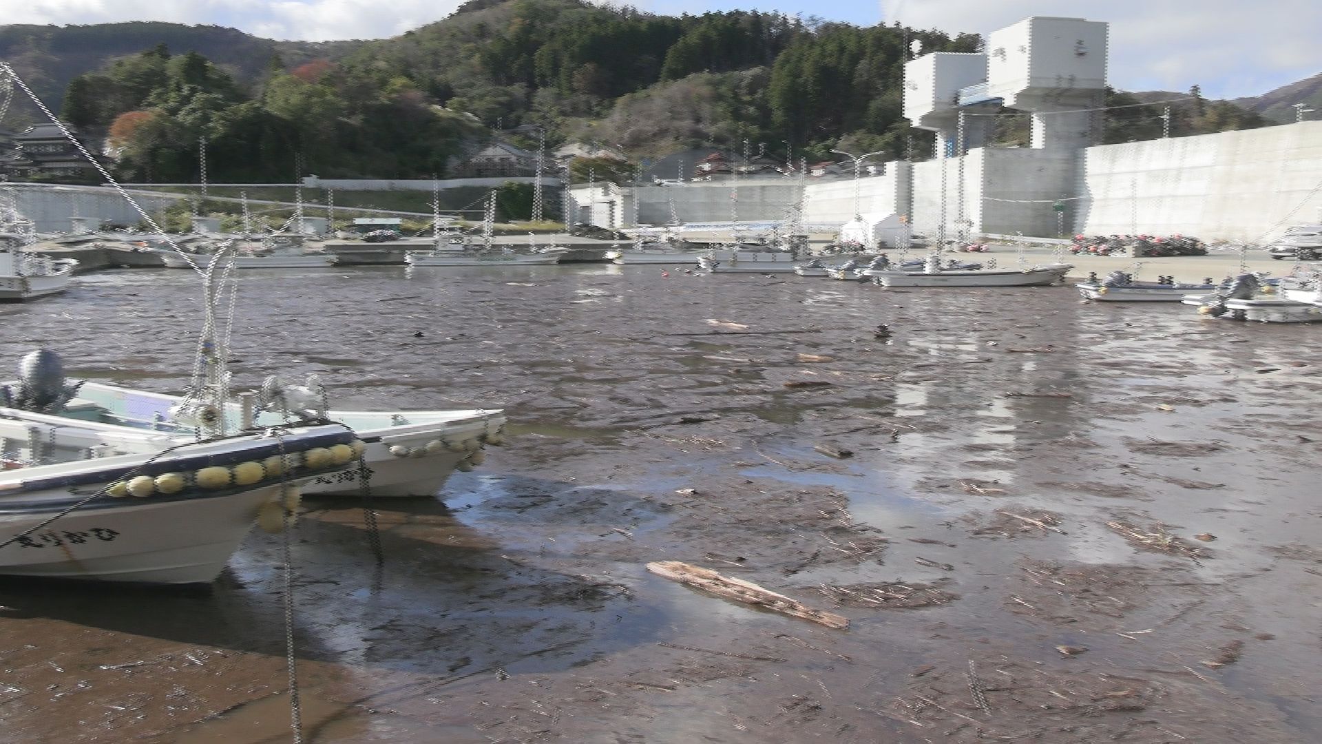 このままでは船が出せない」 大規模山林火災の影響か 漁港に大量の黒く