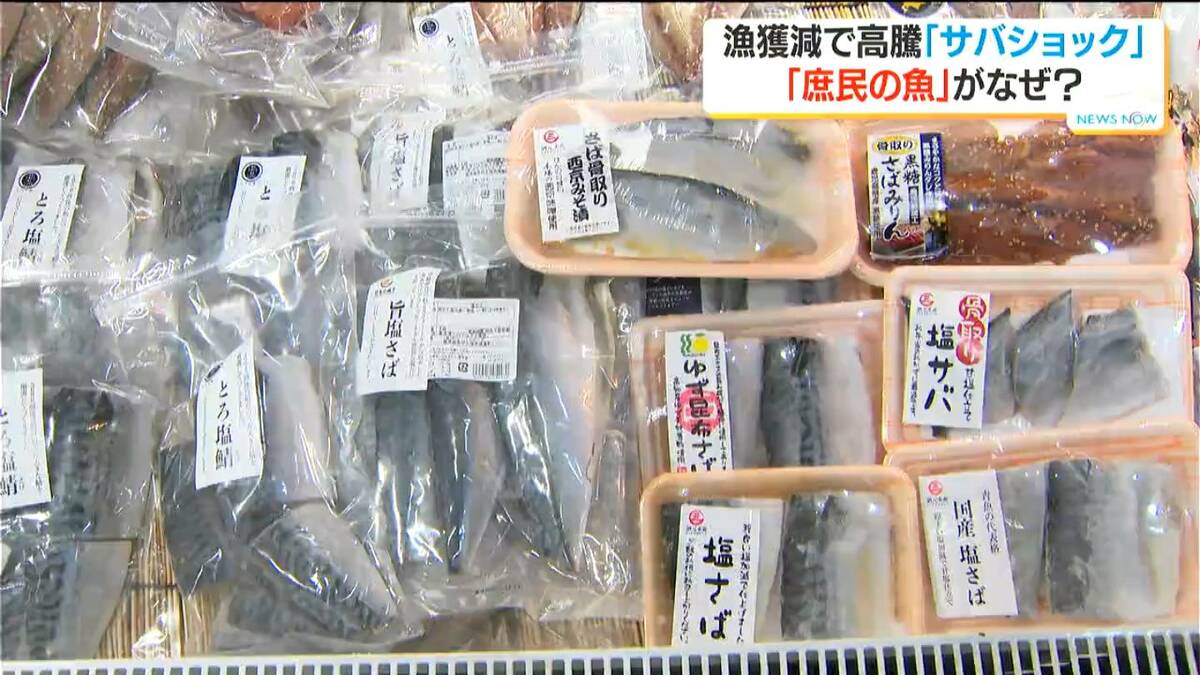 「サバが買えない」サバショックとは？切り身が1.5倍値上がり…なぜ？加工業者・弁当店は困惑　鹿児島