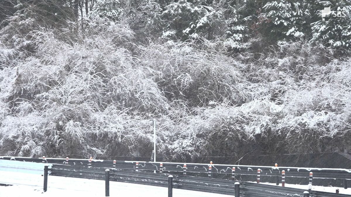 車の上にも積もっていてびっくり」4月なのに…静岡で季節外れの雪 県