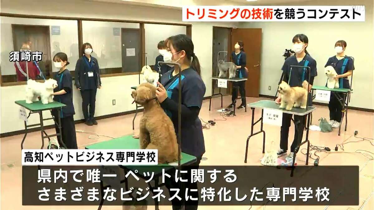 顔も毛並みも性格もさまざま！犬の個性に合わせた″トリミング″技術を