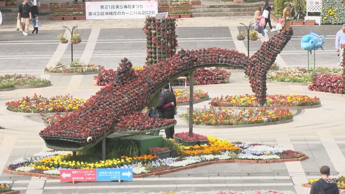 15万株咲き誇る花の祭典「美ら海花まつり」 海洋博公園で3月1日まで
