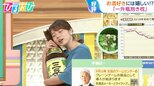「一升瓶を抱いて眠れる!」どこで手に入る?酒好きにはたまらないフワフワ“抱き枕”【ひるおび】|TBS NEWS DIG