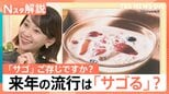 来年流行る?「サゴ」ってなあに? せいろ・麻辣湯・生ドーナツ 今年の食トレンド大賞発表【Nスタ解説】|TBS NEWS DIG