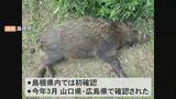 島根県で初”豚熱”確認 防疫対策の再度徹底を指示|TBS NEWS DIG