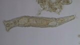 使った水をきれいにしてくれるのはコレ? 下水道を学ぶインフラ親子見学会を山梨県が初開催|TBS NEWS DIG