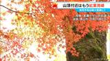 3連休に楽しめる東海3県の「紅葉」スポット  飛騨・美濃せせらぎ街道は例年より10日ほど遅れて見頃に|TBS NEWS DIG
